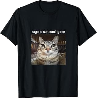 Rage Is Consuming Me Silly Staring Cat Meme T-Shirt